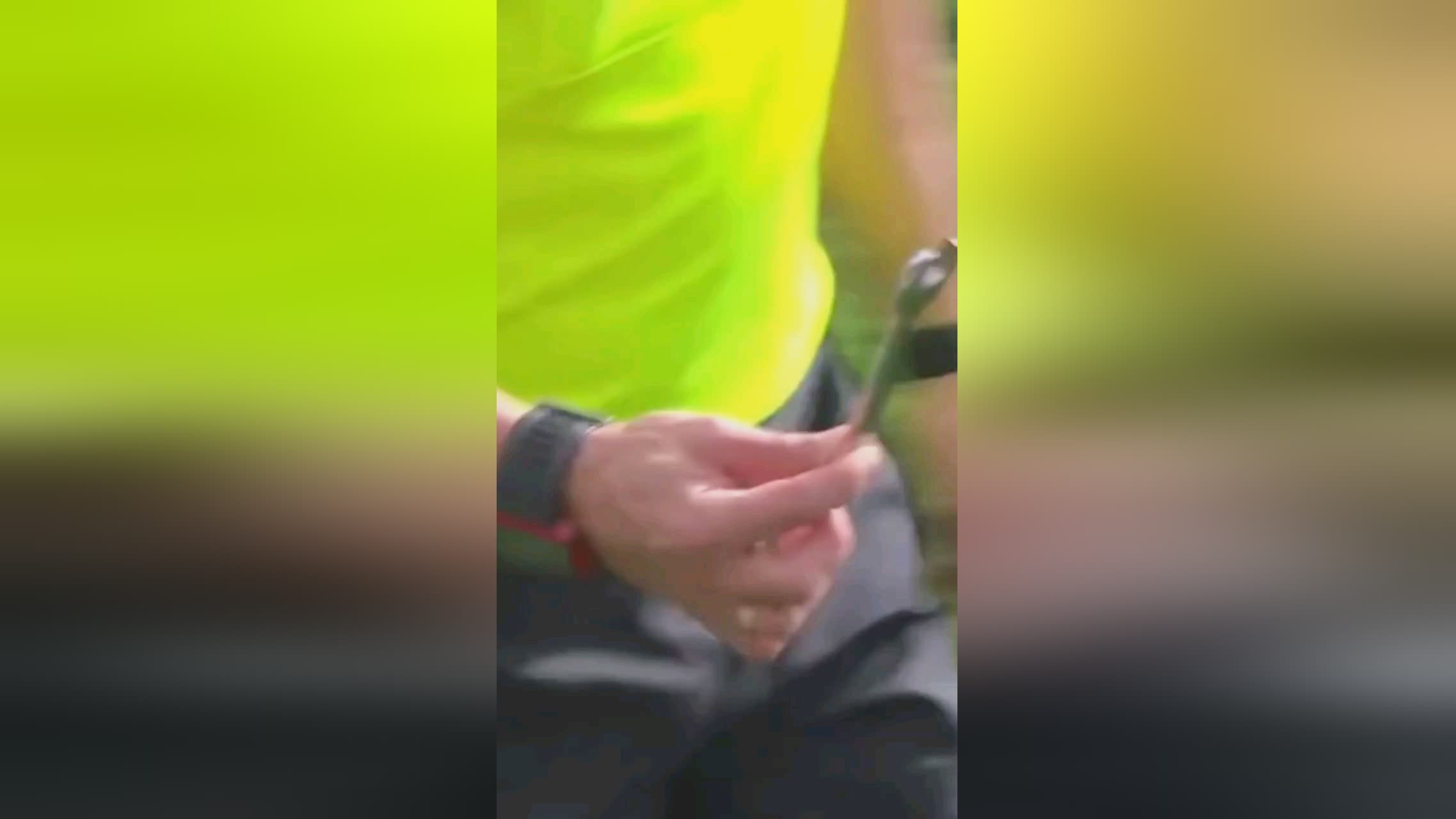 界是许多后